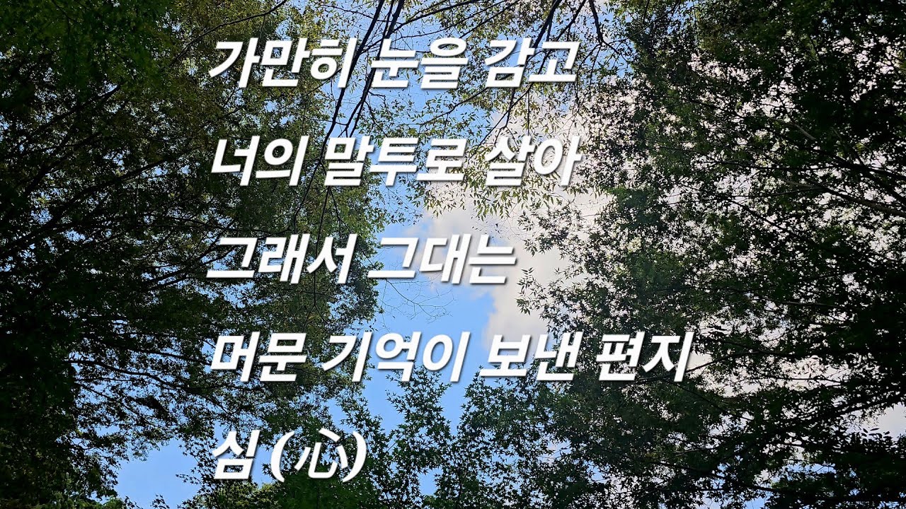🎵 DK (디셈버) 노래 베스트 다섯곡 (개취♡) 