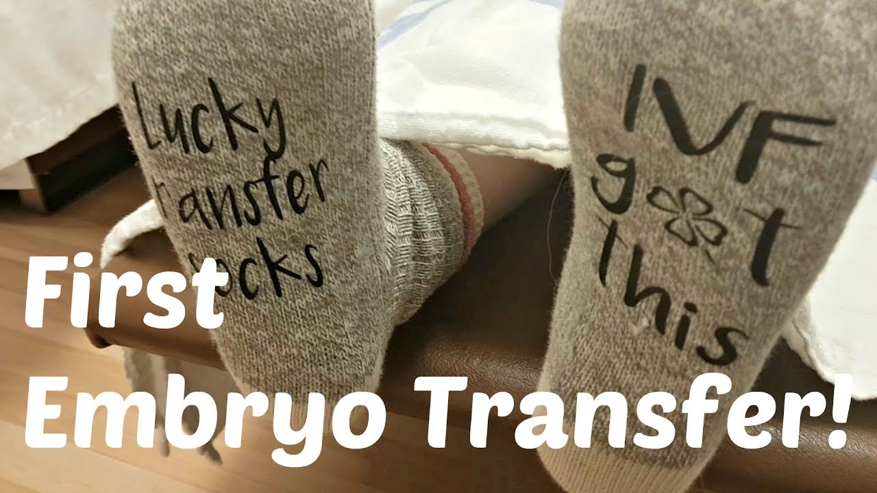 Reciprocal IVF // Embryo Transfer Day