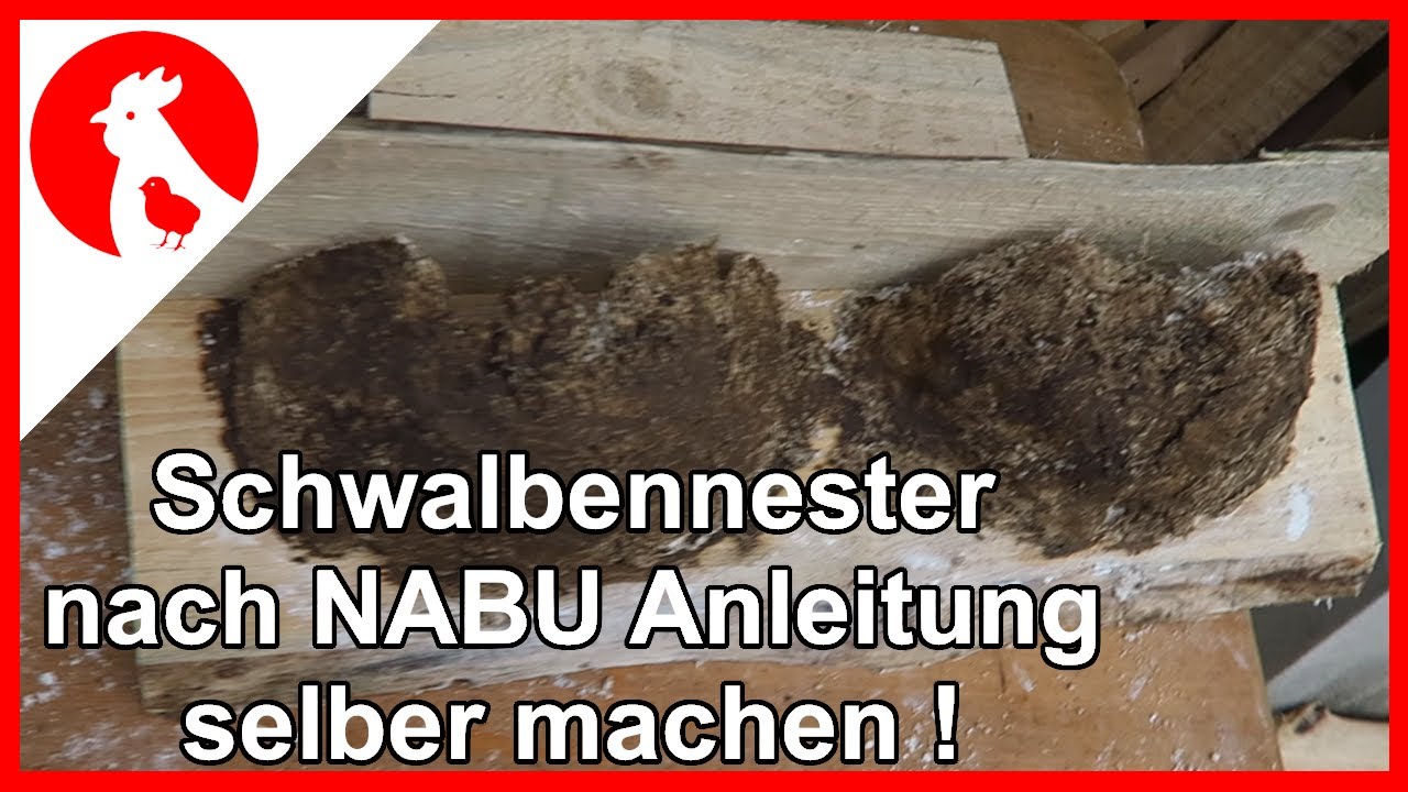 051 - Schwalbennester nach NABU Bauanleitung - Nisthilfen für Schwalben - Jensman and the Huhns 🐔