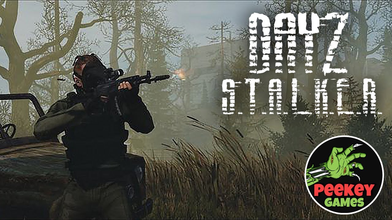 🛑Dayz Stalker PVE 
