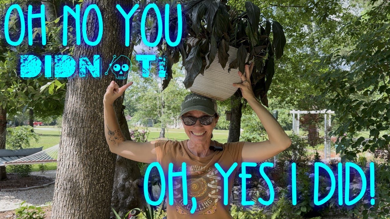 A Peace Lily, Redemption Colocasia, and Mandevilla OH MY!