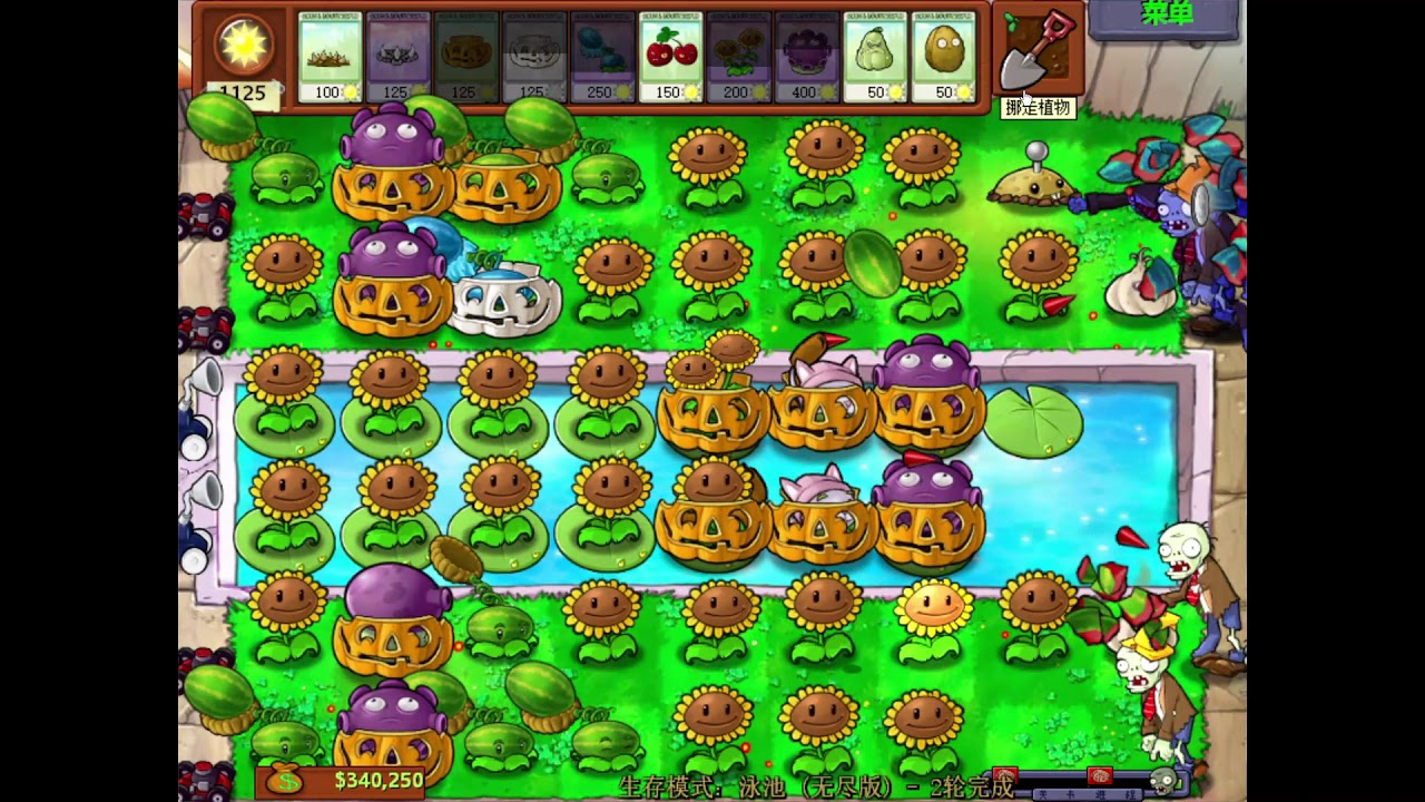 植物大战僵尸泳池无尽版 八炮冰瓜阵型升级版