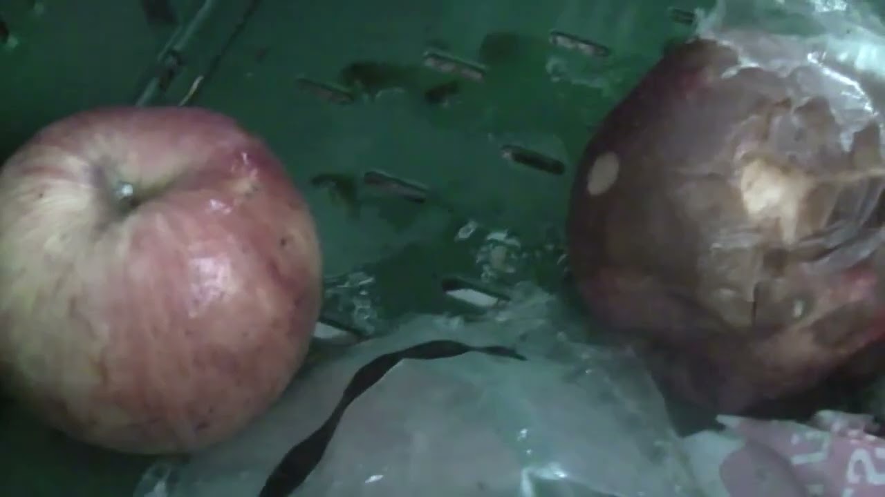 Ein fauler Apfel steckt alle AN!, MENSCHEN AUCH, GALACOM.TV, INVEST COURAGE SPONSOR