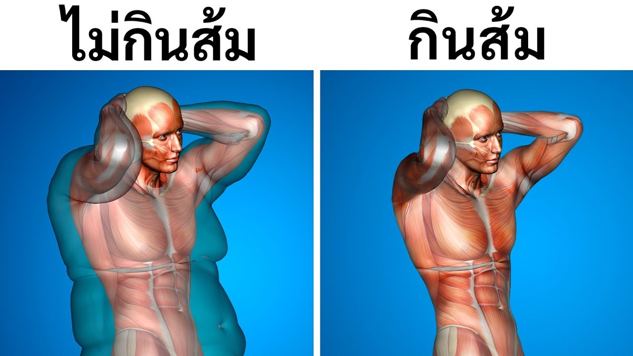 จะเกิดอะไรขึ้นกับร่างกาย หากคุณเริ่มกินส้มวันละลูก