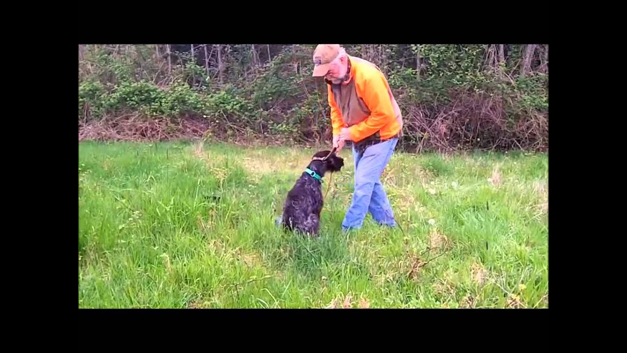 Beginning Upland Work:  Introduction to Pointing Using the Gibbons-West Method