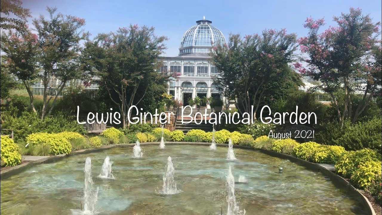 A Visit at Lewis Ginter Botanical Garden  ||  Richmond, VA  ||  August 2021