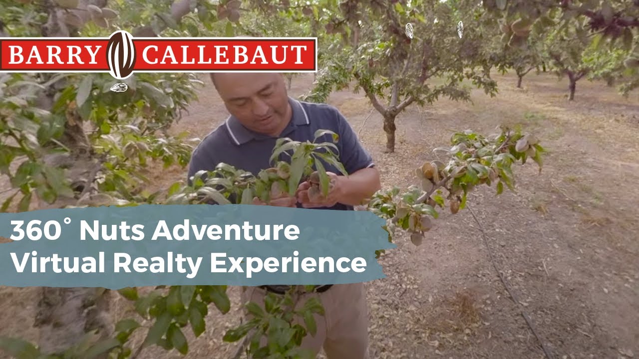 360˚ Nuts Adventure to Spain | Barry Callebaut