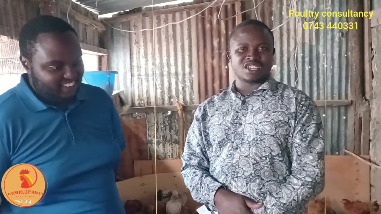A small scale poultry farmer in athiriver making up to 100,000 ksh in his small backyard house 