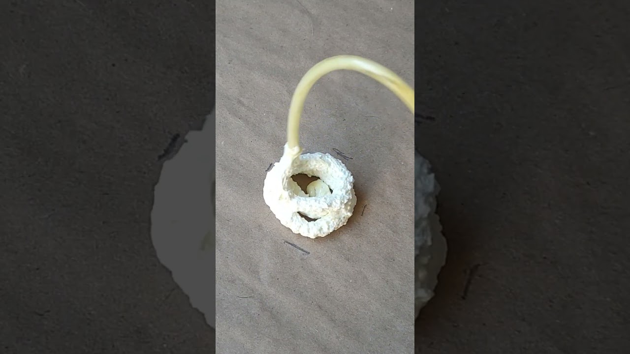 Diy How to MAKE a FAKE ROCK using Styrofoam & Cement