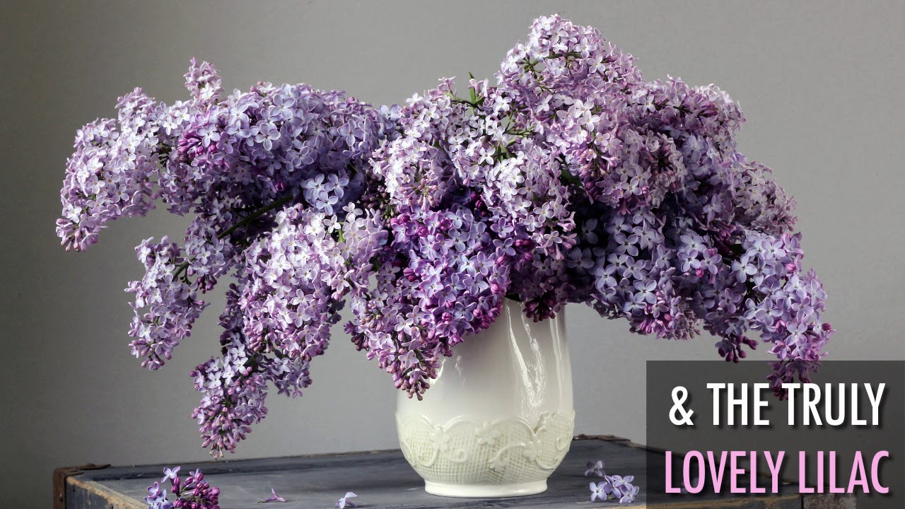 How to Plan a Garden for Cut Flowers