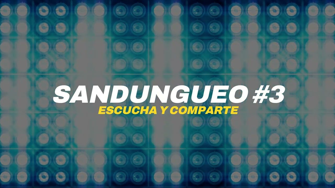 SANDUNGUEO #3 SIN SELLO