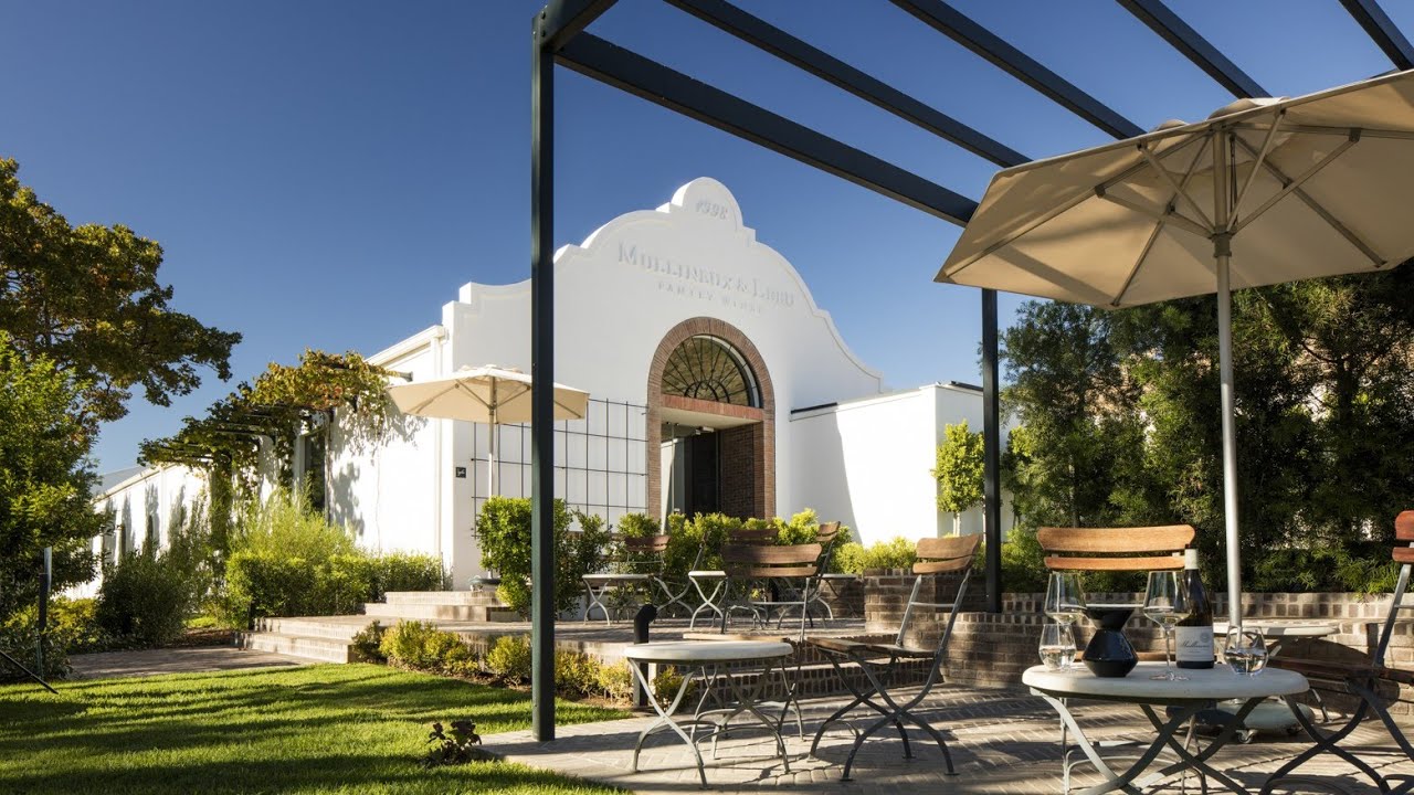 Leeu Passant - an introduction to our Vineyards and Winery