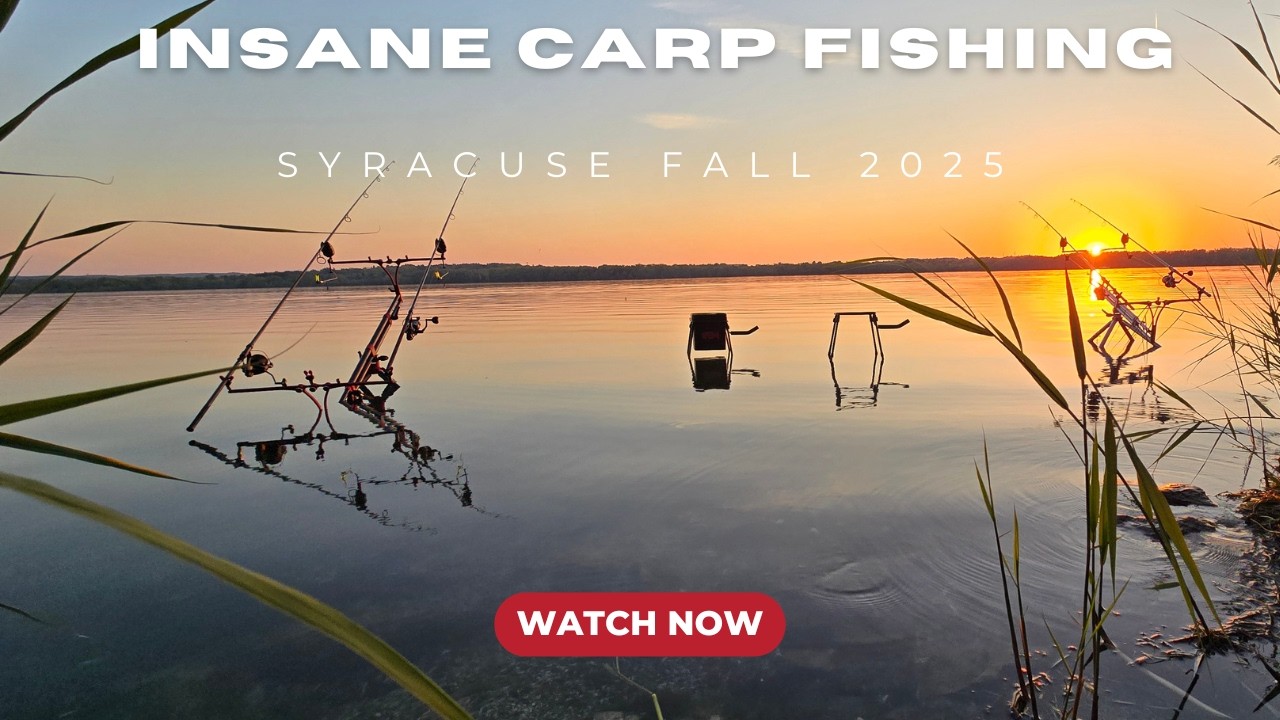 500 LBS IN 76 HOURS! | Ed French Wild Carp Tournament 2025 (27 LB Average Fish!)