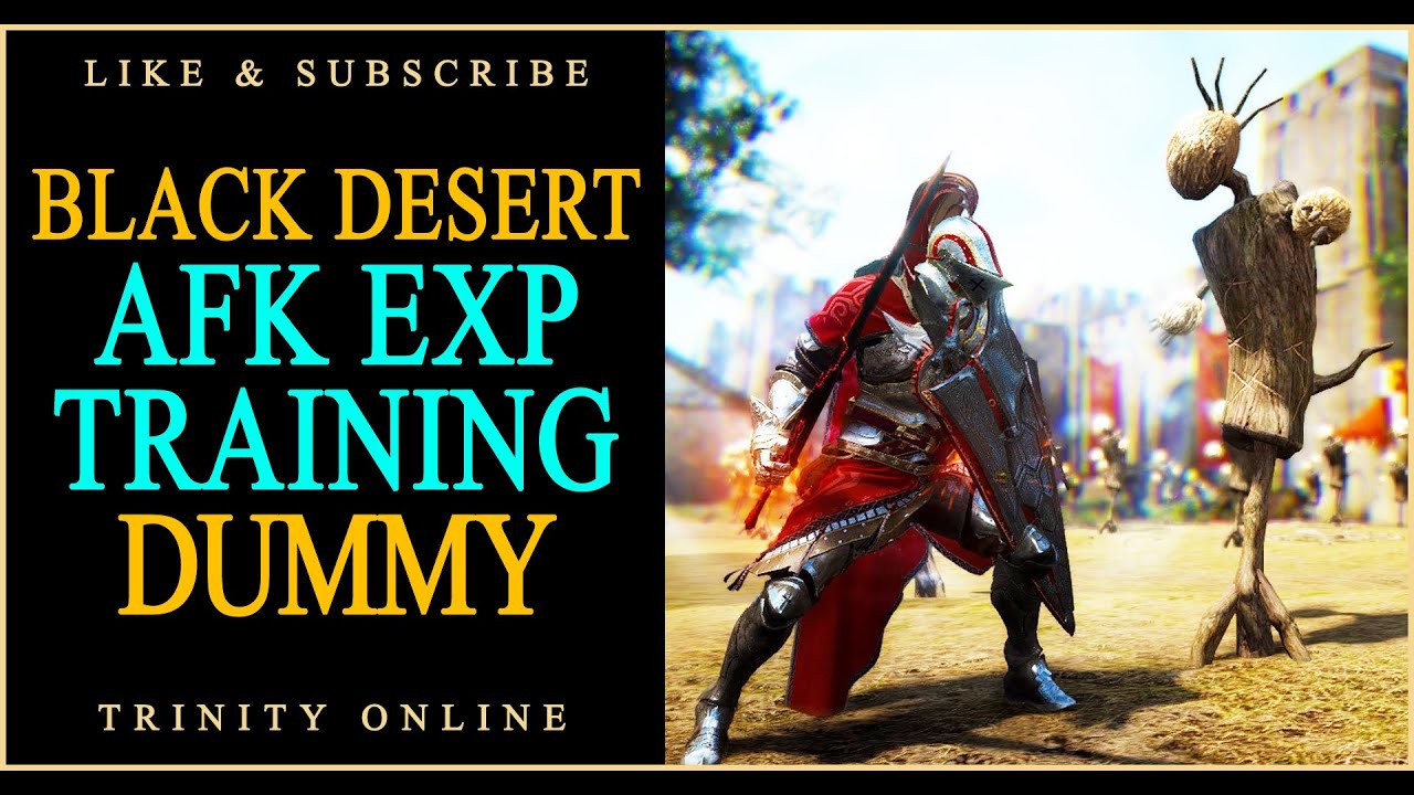 Black Desert AFK Dummy Training Guide BDO scarecrow training for beginners Trinity Online