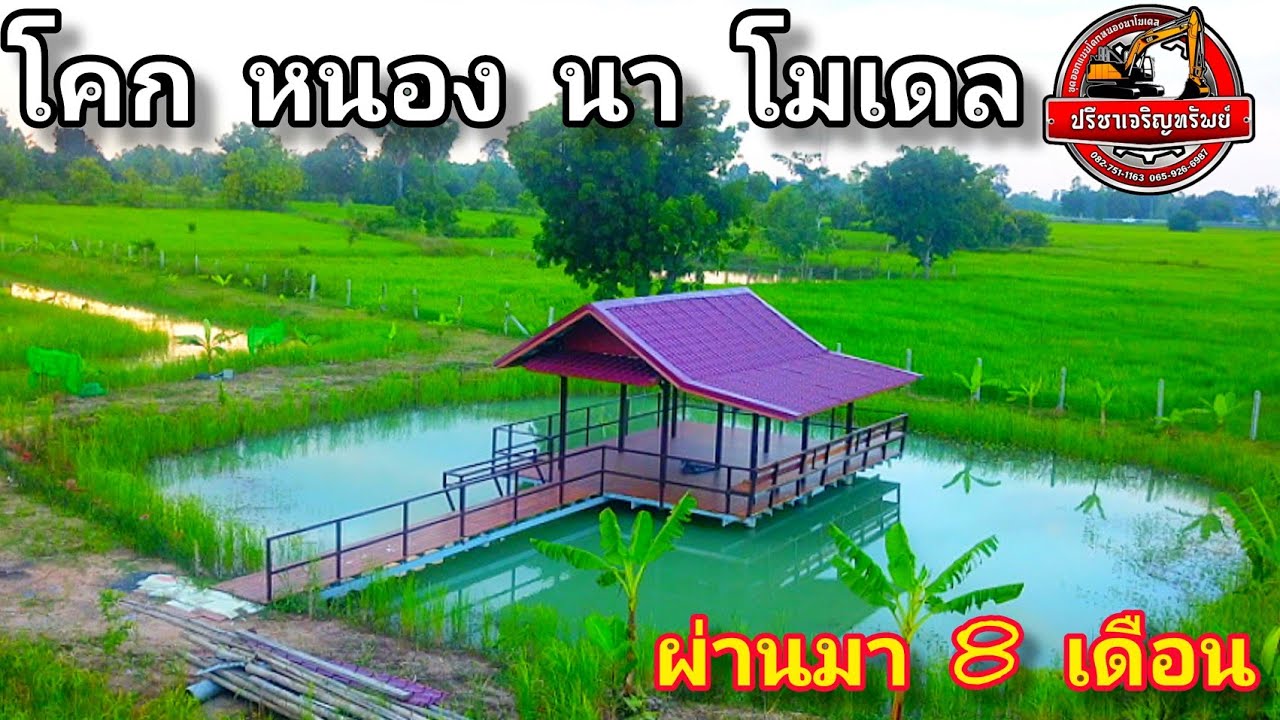 โคกหนองนา 🌾🌾เปลี่ยนไปแค่ไหนหลังขุดผ่านไป 8 เดือน #บ้านตะโก ต.อีสานเขต อ.เฉลิมพระเกียรติ จ.บุรีรัมย์