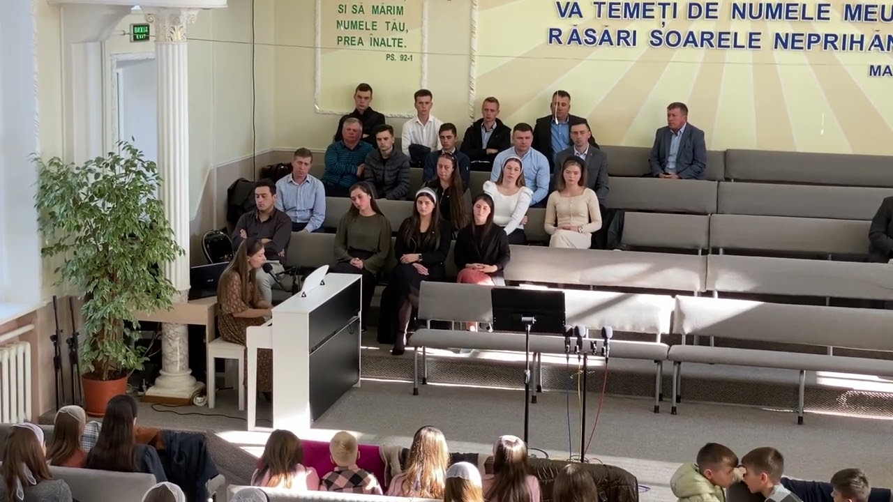 Alina Butucel Cazut la pamant