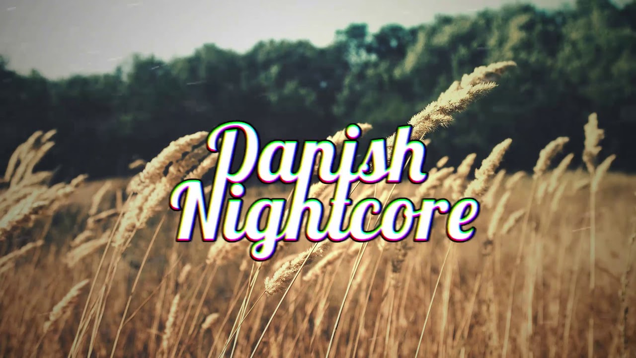 Ritalin - Gider Æt [Nightcore]