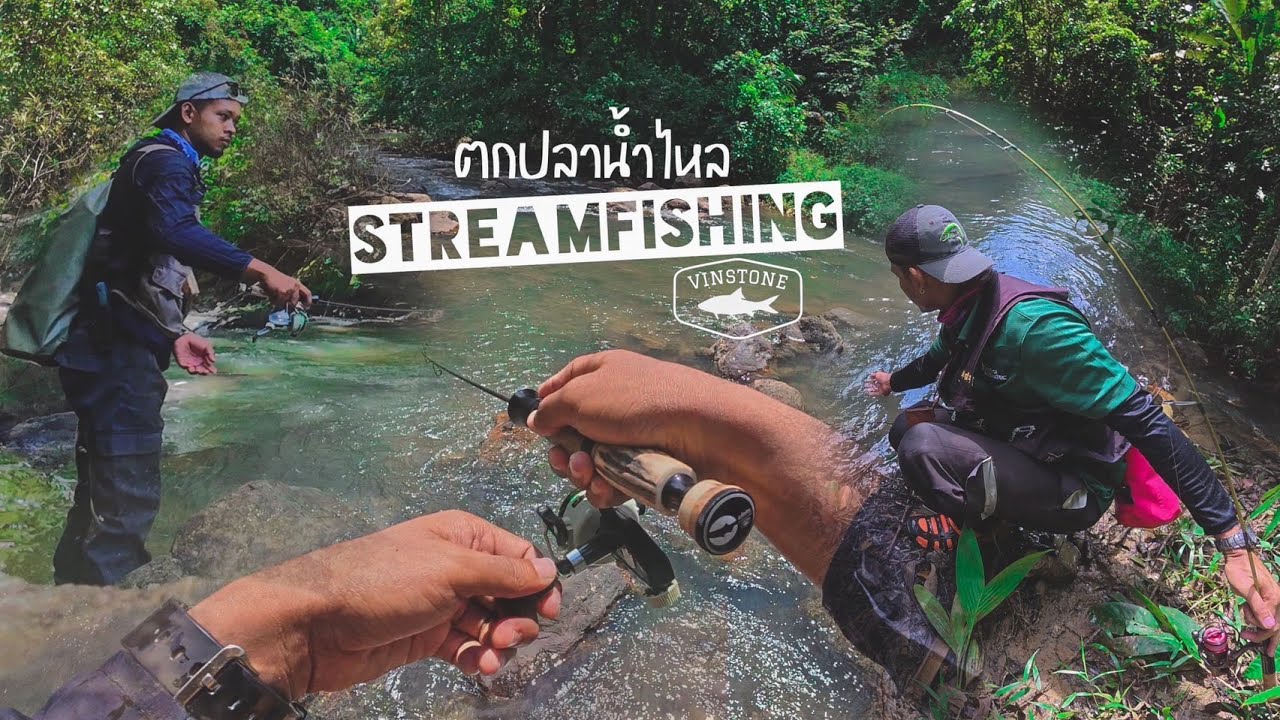 กระสูบน้ำไหล Stream fishing