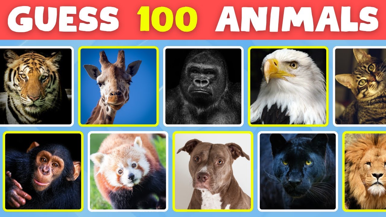 Guess The Animal in 3 Seconds | Animal Trivia With Answers