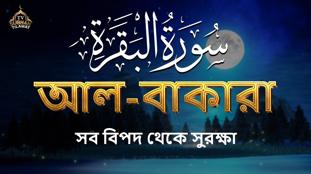 সবচেয়ে হৃদয়স্পর্শী সূরা বাকারা তেলাওয়াত 🌿 কুরআনের আলো ও শান্তির বার্তা | Surah Al Baqarah 💖