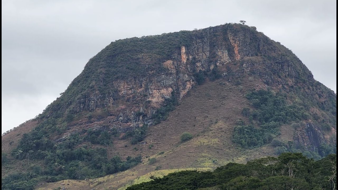 PICO CABEÇA DE FORMIGA (comments in English)
