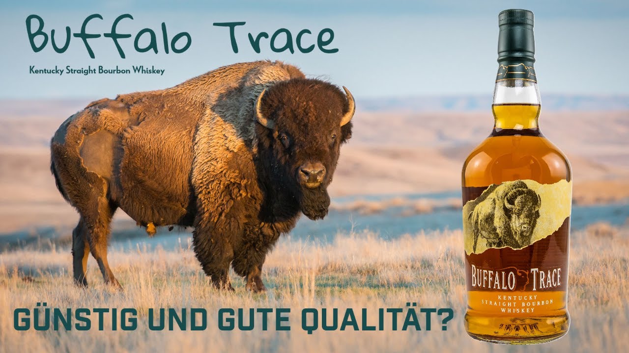 Buffalo Trace - Einsteiger Bourbon und trotzdem hohe Qualität? Geht das? - Verkostung | Cheap Mr. Z