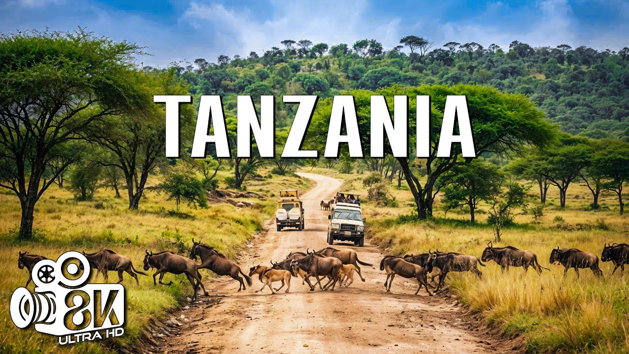 TANZANIA SALVAJE | El Gran Movimiento de la Vida Africana | Viaje en 8K
