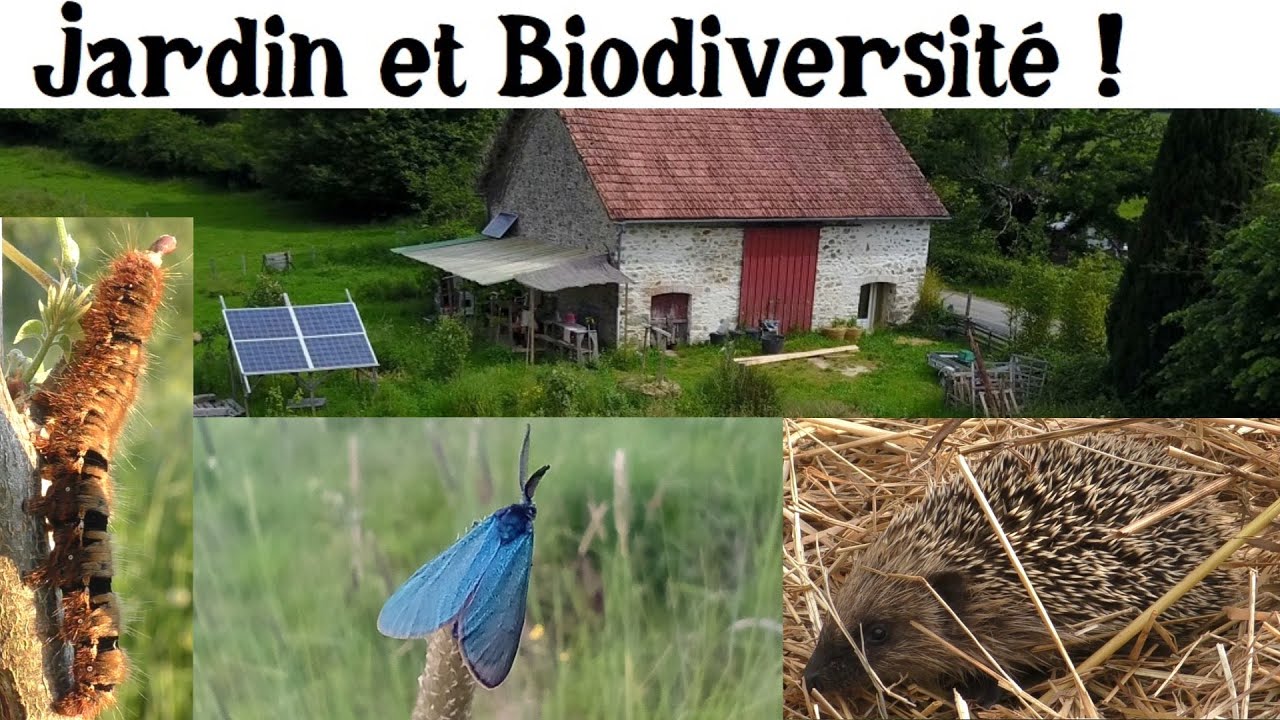 Visite du Jardin et la Biodiversité !