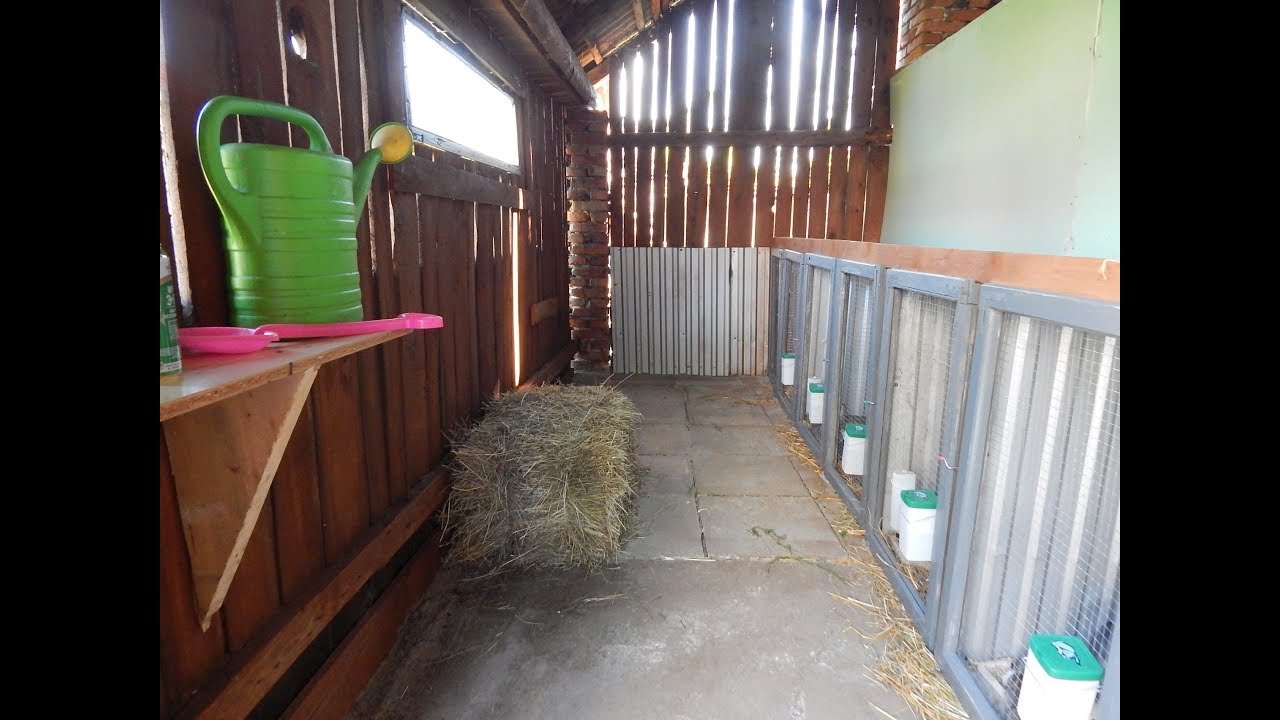 Zagroda dla królików / Klatka dla królików / Little rabbit farm