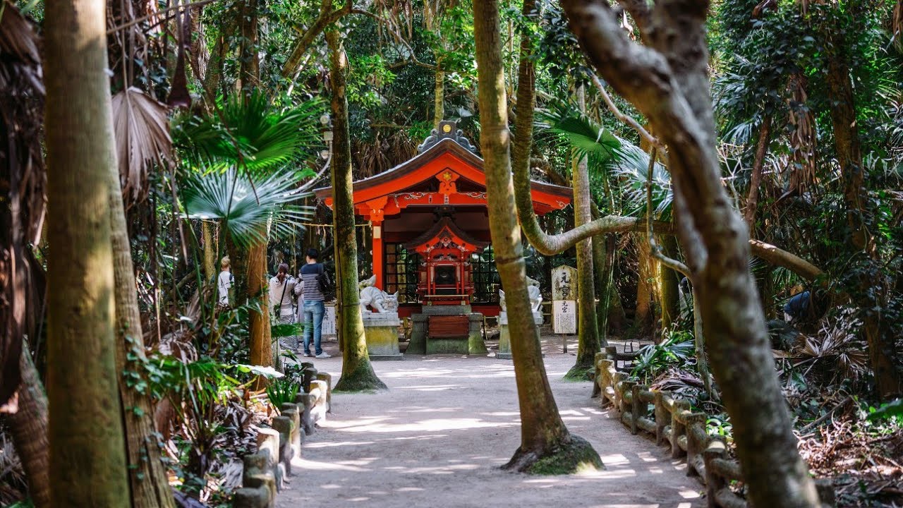 4K Beautiful Oceanside Japanese Shrine Walk - Aoshima Jinja, Miyazaki 青島神社散歩