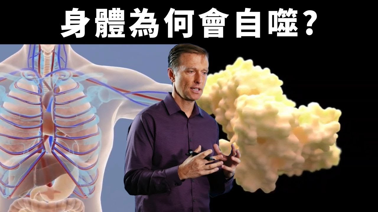 什麼是細胞自噬作用？自噬的好處？柏格醫生Dr Berg