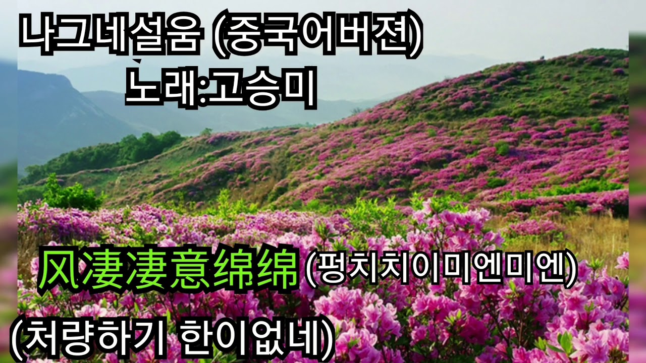 나그네설움(중국어버젼)  노래:고승미. 演唱:高胜美.风凄凄意绵绵