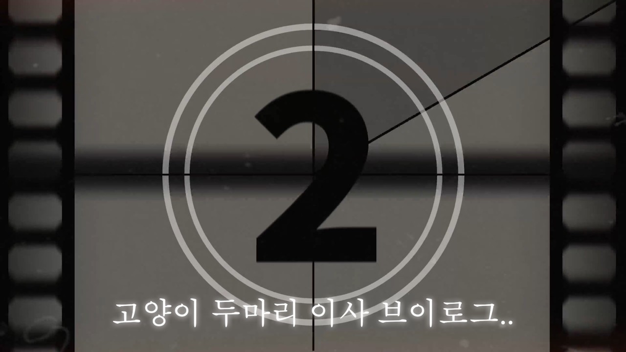 작은 발소리로 채워가는 새 집 🏡🐱🐧🐴🦦