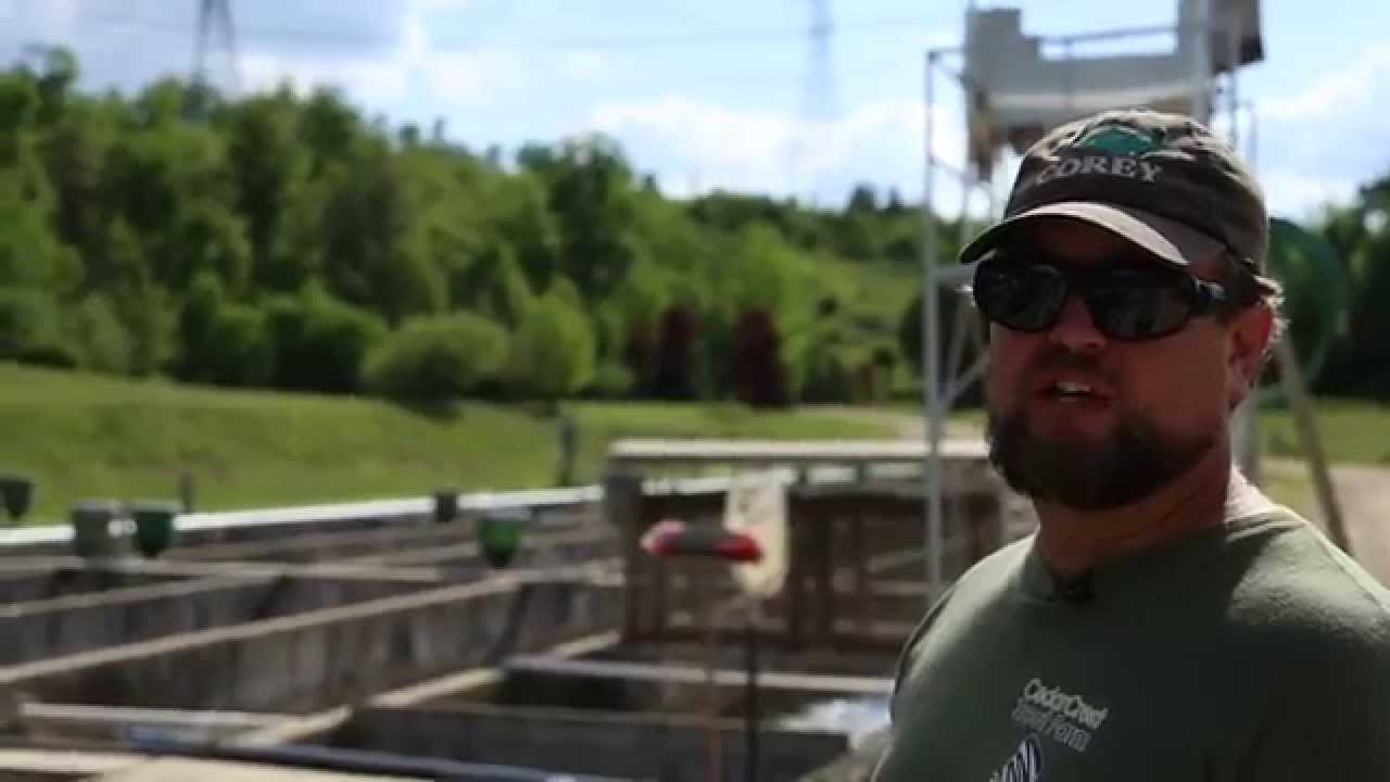 Ontario Aquaculture - Land-Based Water Cycle