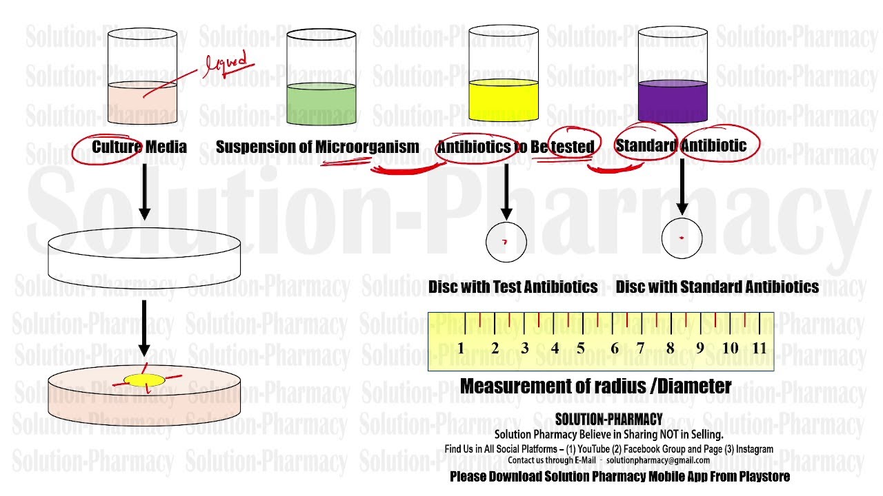 Microbiology 117 =  Microbiobial Assay By Disc Diffusion Method | Microbial Assay | Disk Diffusion