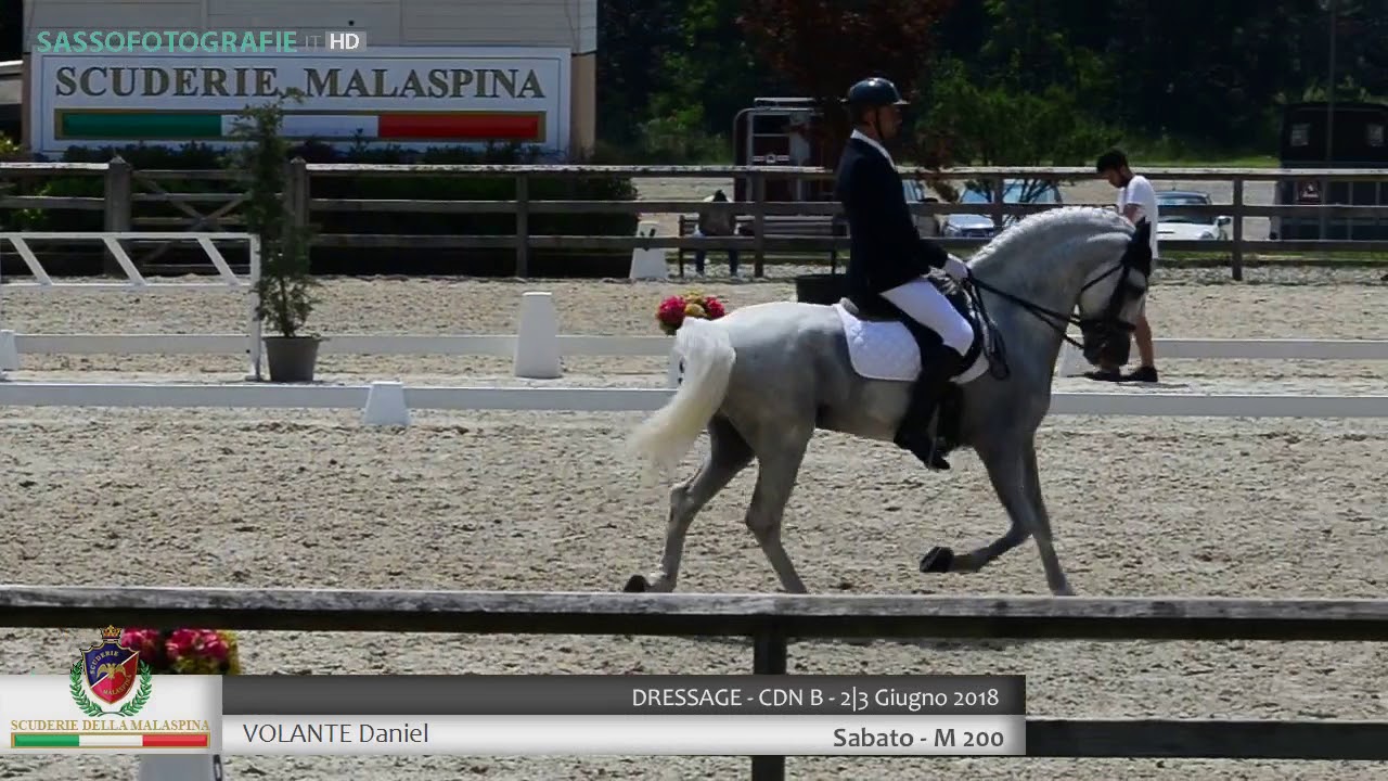 Dressage M200 - Daniel Volante - Scuderia La Malaspina