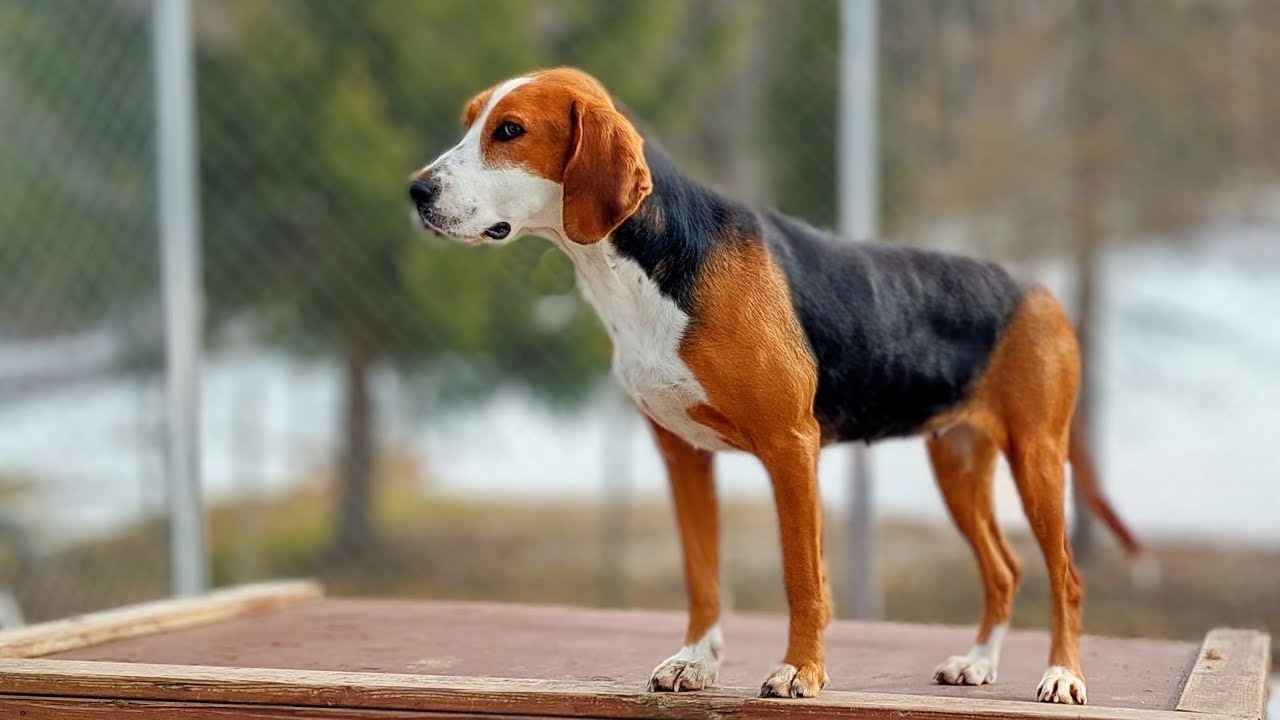 Intolan Rita 25.01.2025