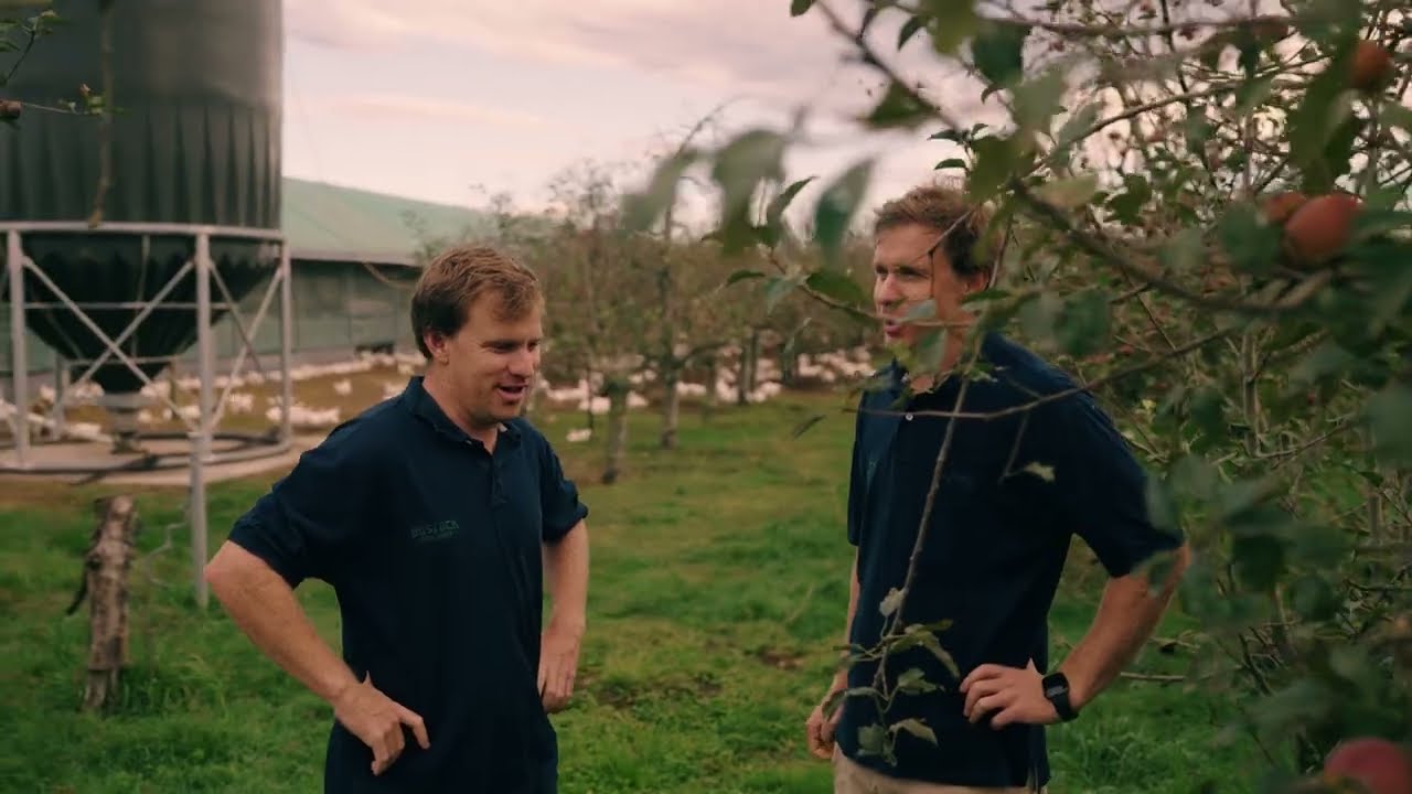 Bostock Brothers Organic Free Range Chicken - Our Story