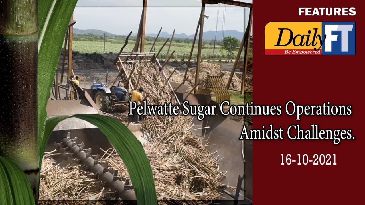 Pelwatte Sugar Continues Operations amidst Challenges
