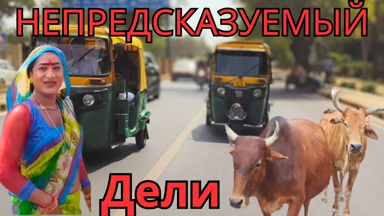 На тук-туке среди попрошаек и коров , чем ещё шокирует Индия ? #индийскийкалейдоскоп #индия #дели