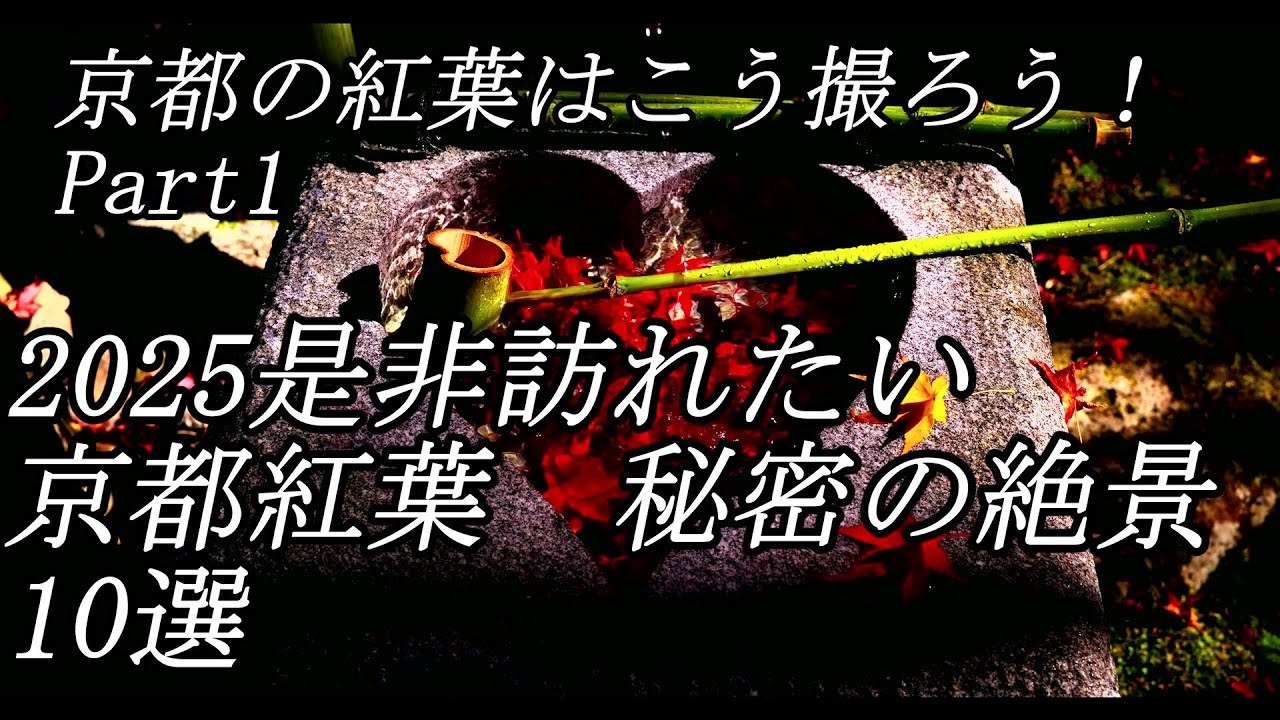 2025是非訪れたい京都紅葉　秘密の絶景スポット10選　京都の紅葉はこう撮ろうPart1  Discover Kyoto`s Secret Maple Leaf Vistas.