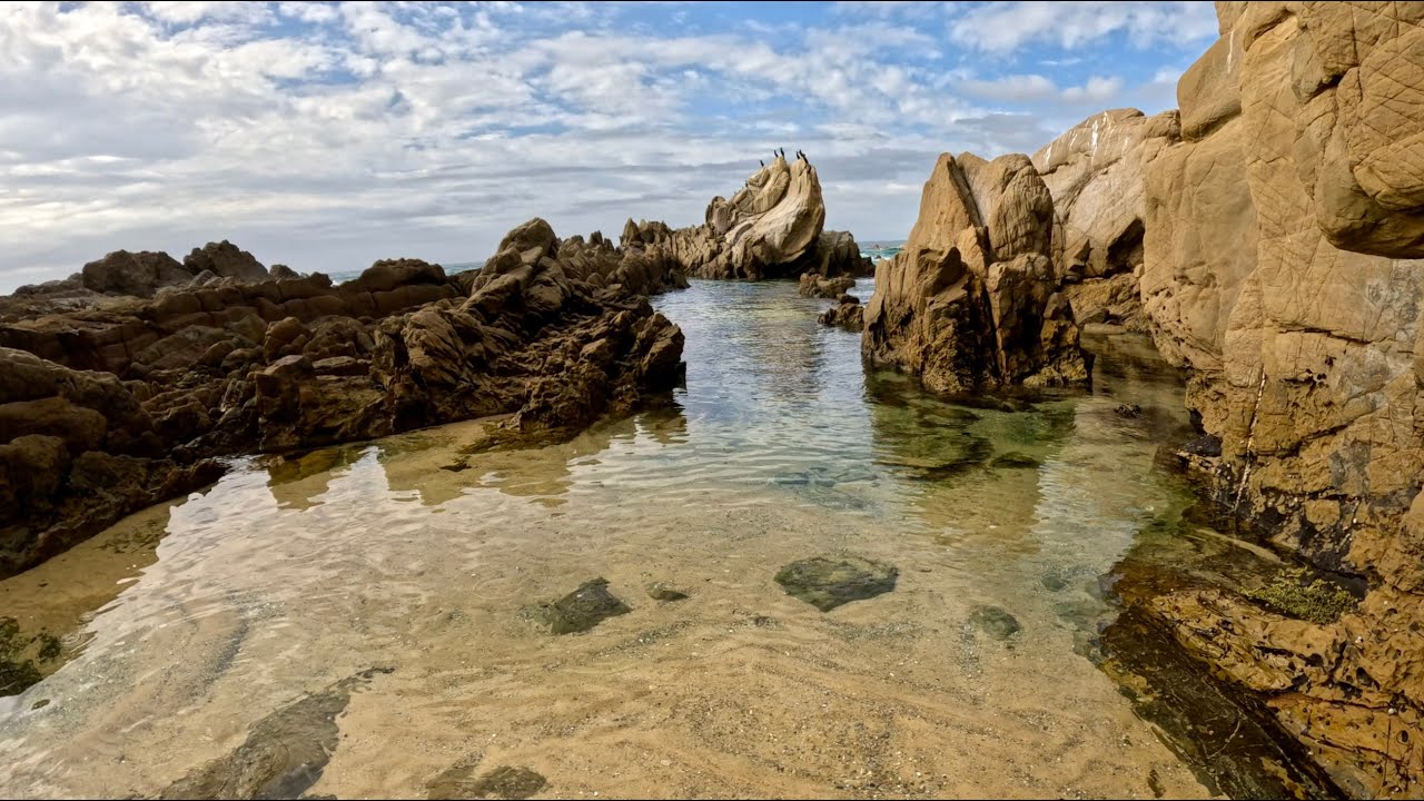 Hike 28: Exploring a wild headland with a seal encounter along Australia’s NSW South Coast