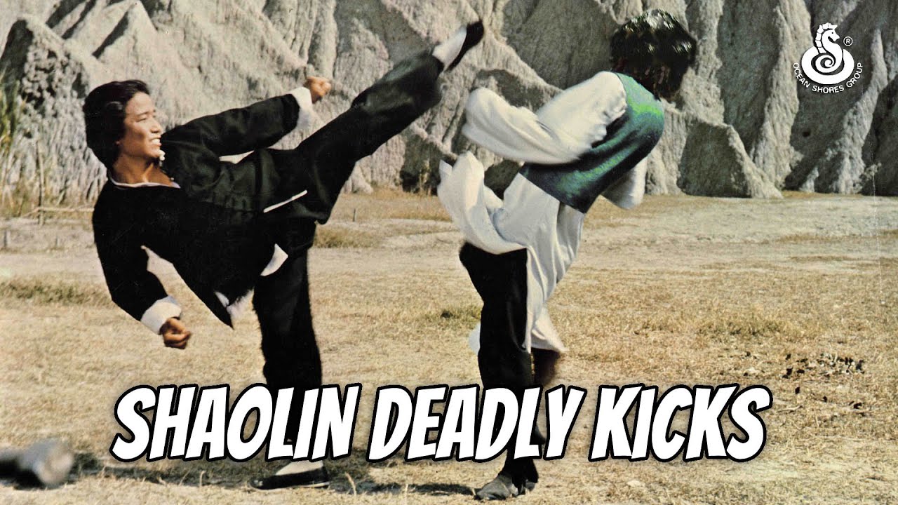Wu Tang Collection -  Shaolin Deadly Kicks OS