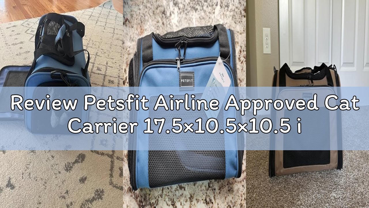 Review Petsfit Airline Approved Cat Carrier 17.5×10.5×10.5 in, Escape-Proof Design with Locking Zipp