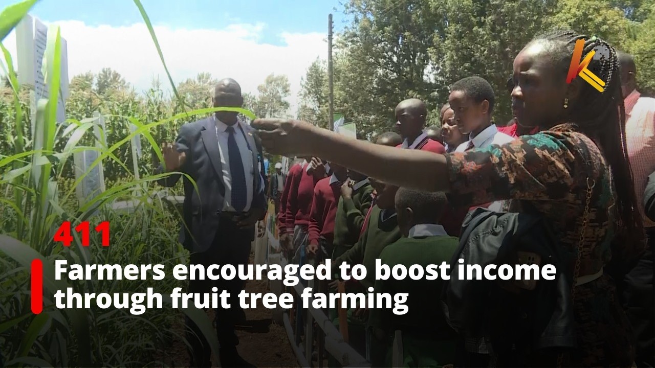 Farmers encouraged to boost income through fruit tree farming