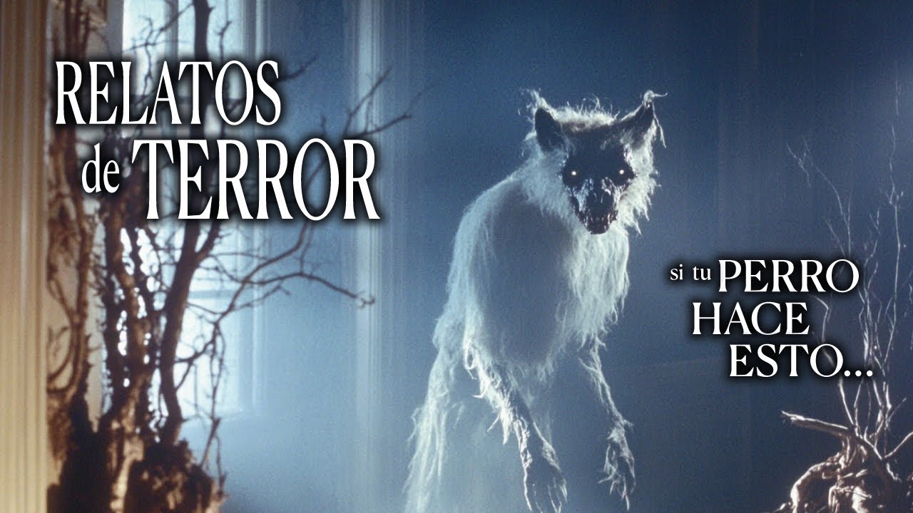 SI TU PERRO HACE ESTO, CÁMBIATE INMEDIATAMENTE DE CASA | 5 RELATOS DE TERROR | PERROS ACTUANDO RARO