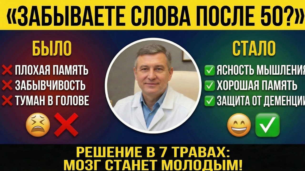 Забываете слова после 50? 7 трав спасут мозг от деменции