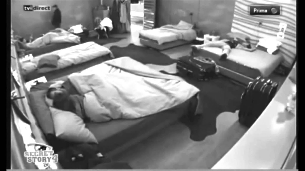 sofia e diogo ss4