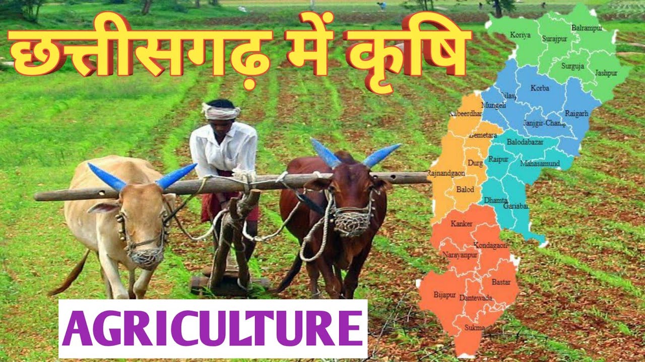 Chhattisgarh Geography | छत्तीसगढ़ में कृषि,&nbsp;सिंचाई, मृदा, फसलें, | Agriculture Irrigation Soil Crop