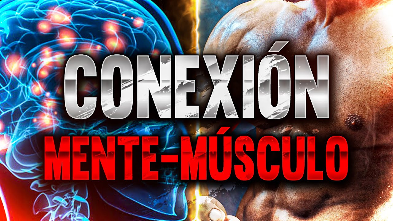 CONEXIÓN MENTE-MÚSCULO: CÓMO HACERLA BIEN Y POR QUÉ | The Fit Club
